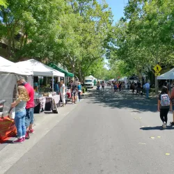 Turlock Farmers Market - Turlock