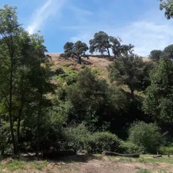 Turlock Lake State Recreation Area - Turlock