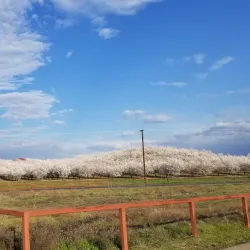 Turlock Lake State Recreation Area - Turlock