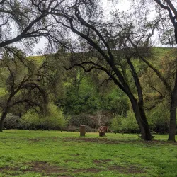 Turlock Lake State Recreation Area - Turlock