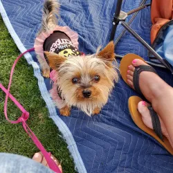 Peppertree Park - Tustin