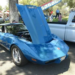 Peppertree Park - Tustin