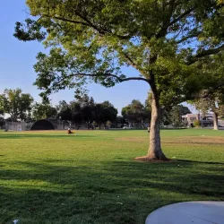 Peppertree Park - Tustin
