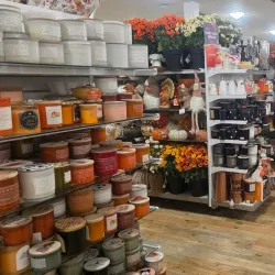 The District at Tustin Legacy - Tustin