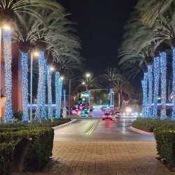 Tustin Community Center - Tustin