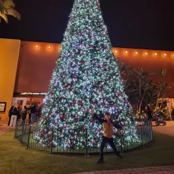 Tustin Community Center - Tustin