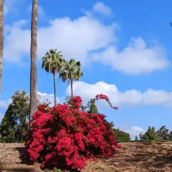 Tustin Ranch Golf Club - Tustin