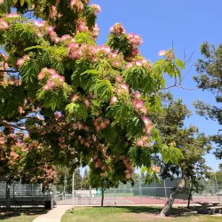 Tustin Sports Park - Tustin