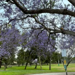 Tustin Sports Park - Tustin