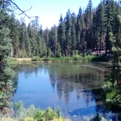 Mendocino National Forest - Ukiah