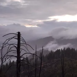 Mendocino National Forest - Ukiah