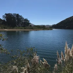 Russian River - Ukiah