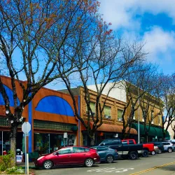 Ukiah Farmers Market - Ukiah