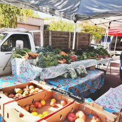 Ukiah Farmers Market - Ukiah