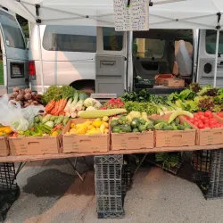 Ukiah Farmers Market - Ukiah