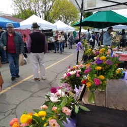 Ukiah Farmers Market - Ukiah