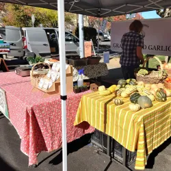 Ukiah Farmers Market - Ukiah