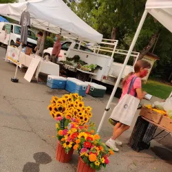 Ukiah Farmers Market - Ukiah