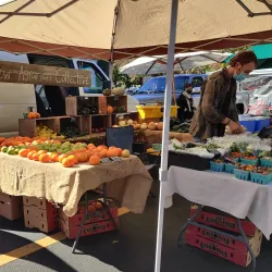 Ukiah Farmers Market - Ukiah