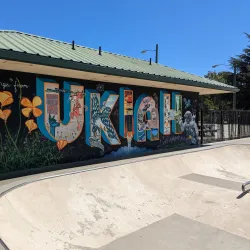 Ukiah Skate Park - Ukiah