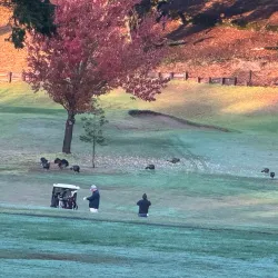 Ukiah Valley Golf Club - Ukiah