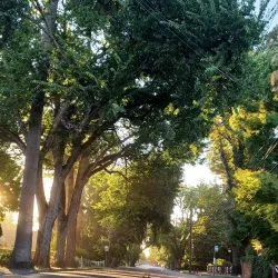 Allendale Mansion - Vacaville