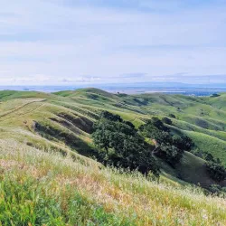 Lagoon Valley Park - Vacaville
