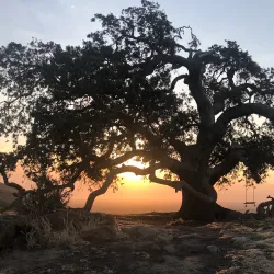 Lagoon Valley Park - Vacaville