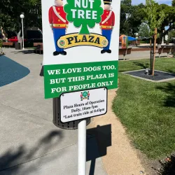 Nut Tree Family Park - Vacaville