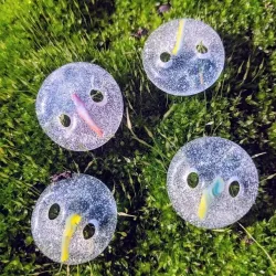 Willow Creek Center for the Arts - Vacaville