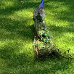 Blue Rock Springs Park - Vallejo