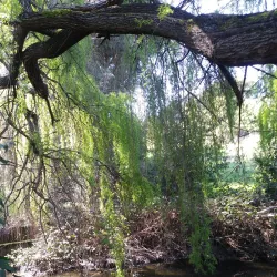 Blue Rock Springs Park - Vallejo