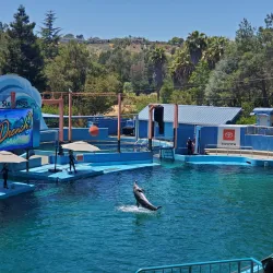 Six Flags Discovery Kingdom - Vallejo