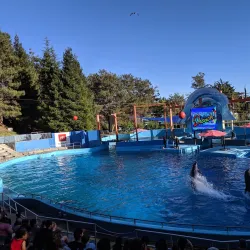 Six Flags Discovery Kingdom - Vallejo