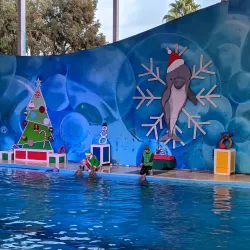 Six Flags Discovery Kingdom - Vallejo