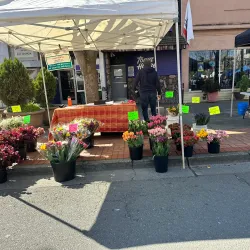 Vallejo Farmers Market - Vallejo