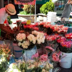 Vallejo Farmers Market - Vallejo