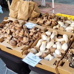 Vallejo Farmers Market - Vallejo