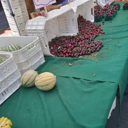 Vallejo Farmers Market - Vallejo