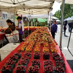 Vallejo Farmers Market - Vallejo