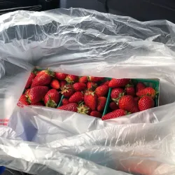 Vallejo Farmers Market - Vallejo