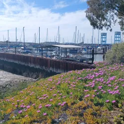 Vallejo Waterfront and Marina - Vallejo