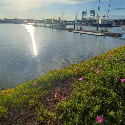 Vallejo Waterfront and Marina - Vallejo