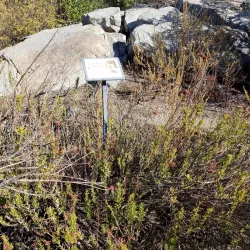 Hellhole Canyon Preserve - Valley Center