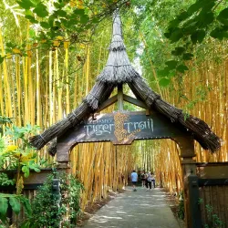 San Diego Zoo Safari Park (nearby) - Valley Center