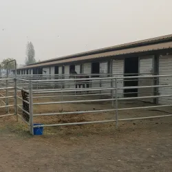 Valley Center Equestrian Center - Valley Center