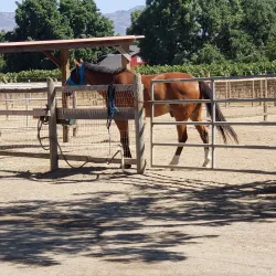 Valley Center Equestrian Center - Valley Center