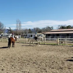Valley Center Equestrian Center - Valley Center