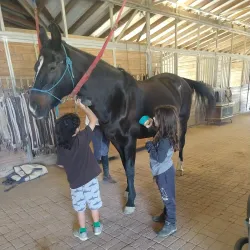Valley Center Equestrian Center - Valley Center