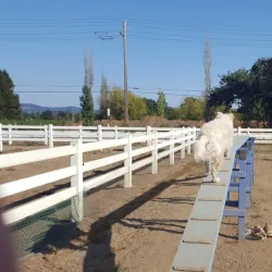 Valley Center Equestrian Center - Valley Center